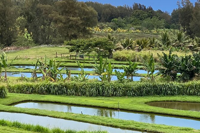 ATV Ranch ride Big Island Hawaii - Price and value: what $169 gets you on the Big Island
