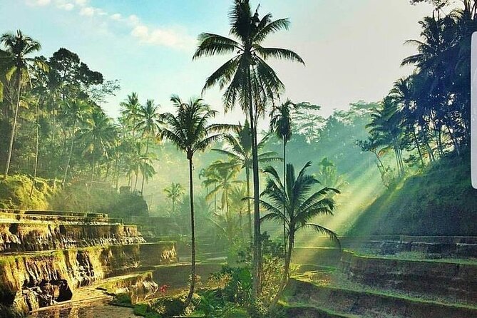 ATV Ride & Ubud Tour - One early start that saves you effort (and stress)