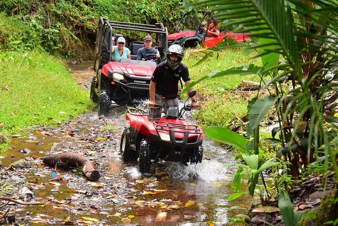 ATV River, Beach, Jungle Adventure and Crocodiles Hotspot from San Jose - Wildlife Spotting Odds: Macaws, Iguanas, Crabs, and More