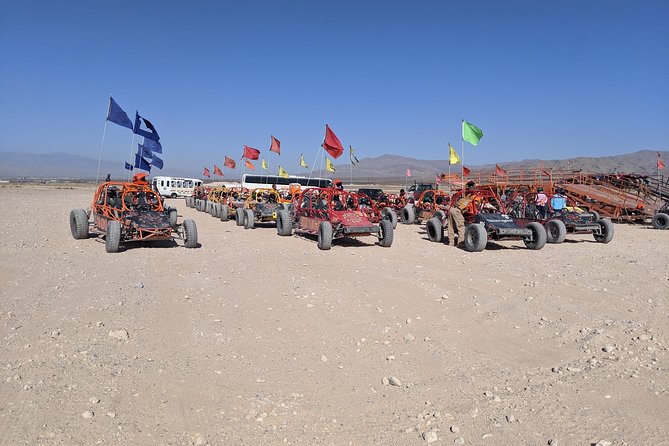 ATV Tour and Dune Buggy Chase Dakar Combo Adventure from Las Vegas - The ATV in Valley of Fire: Red Sand, Big Rocks, and Controlled Chaos