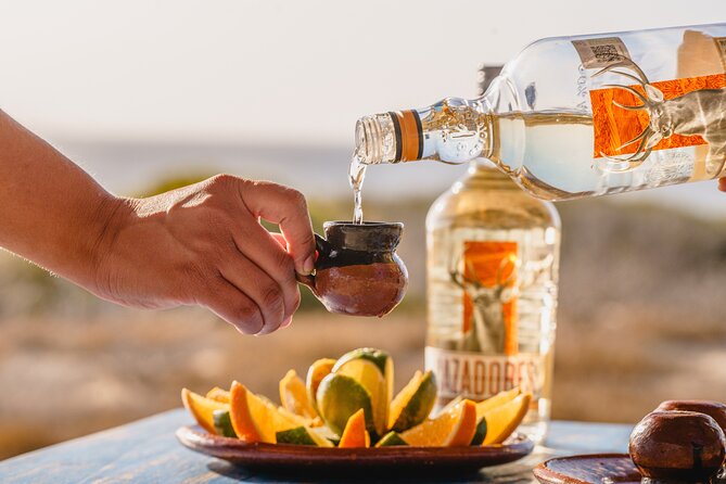 ATV Tour, Camel Ride, Tequila Tasting and Mexican Buffet Lunch - Key highlights to know before you go