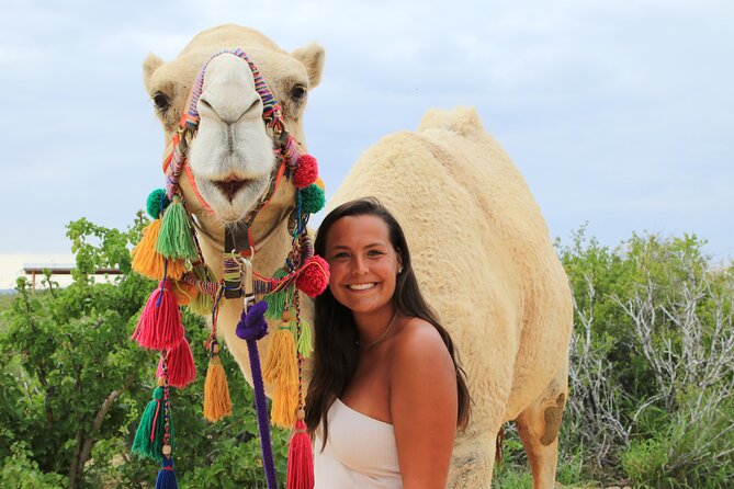 ATV Tour, Camel Ride, Tequila Tasting and Mexican Buffet Lunch - Camel beach ride: the fun factor, comfort level, and photo restrictions