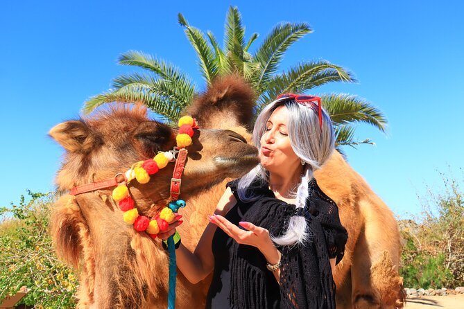 ATV Tour, Camel Ride, Tequila Tasting and Mexican Buffet Lunch - Tequila and mezcal tasting at an oceanfront restaurant