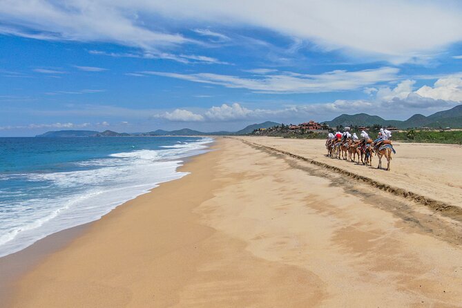 ATV Tour, Camel Ride, Tequila Tasting and Mexican Buffet Lunch - Lunch: unlimited Mexican buffet with a view
