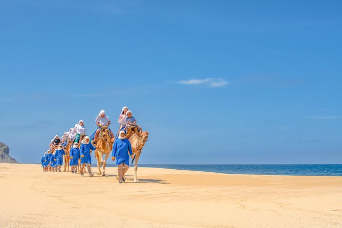 ATV Tour, Camel Ride, Tequila Tasting and Mexican Buffet Lunch - Price reality check: $149 is the start, not the finish