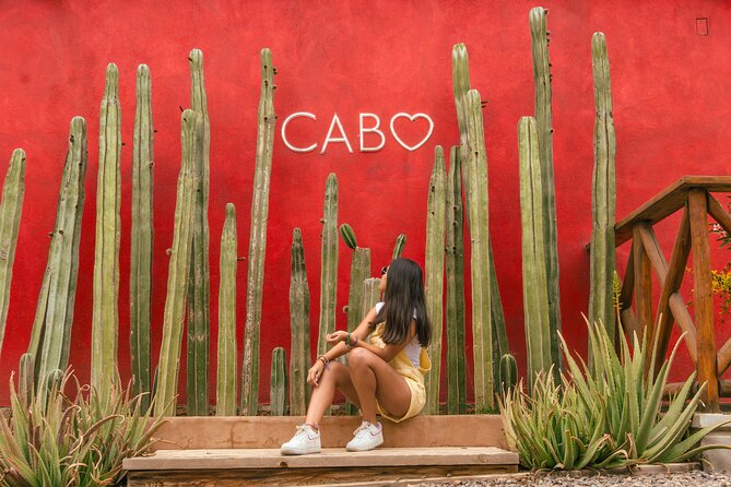 ATV Tour, Camel Ride, Tequila Tasting and Mexican Buffet Lunch - Who should book this (and who should skip it)