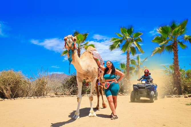ATV Tour, Camel Ride, Tequila Tasting and Mexican Buffet Lunch - ATV basics: automatic riding, desert trails, and how long it really lasts