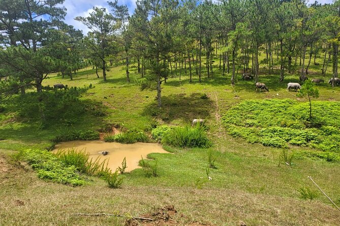 ATV Tour In The Dalat Mountains - Gear, Vehicle Choice, and the Safety Reality Check