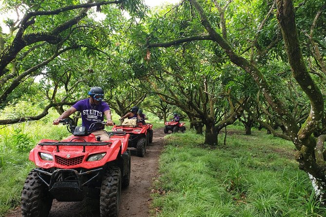 ATV Tour of St Kitts - Price and Value: Is $110 Worth It?