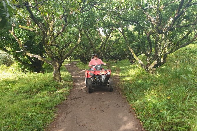 ATV Tour of St Kitts - Practical Tips That Make This Tour Smoother