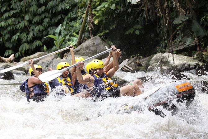 ATV Ubud and Ayung River Rafting - Ayung River rafting at Kedewatan: briefing, gear, and the “thrill level”