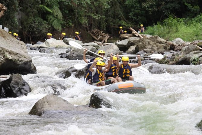 ATV Ubud and Ayung River Rafting - Who this tour fits best (and who should think twice)