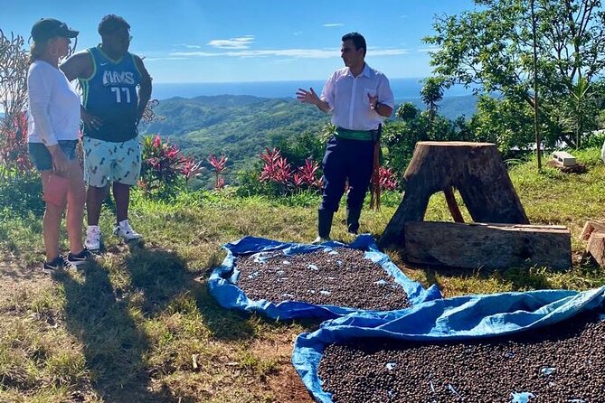 ATV Waterfall & Organic Coffee Farm with Lunch - Price and value: what $195 buys you (and when it’s worth it)