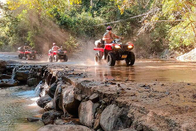 ATV-Zip Line Combo Adventure Tour from Puerto Vallarta - The mule ride back: a smart cooldown, not filler