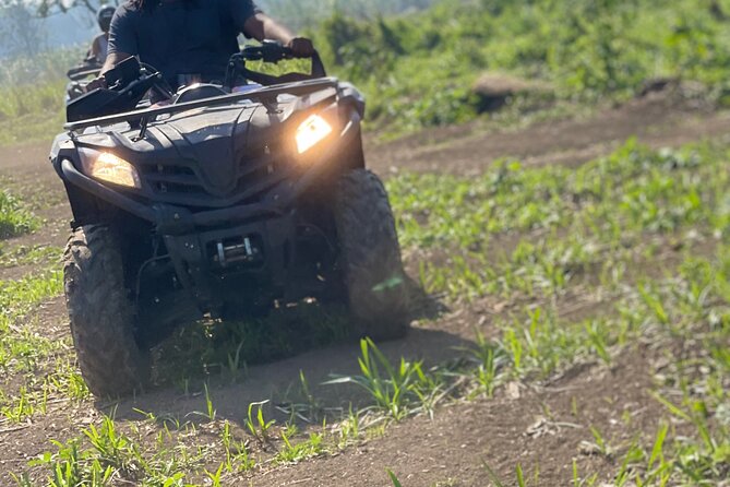 ATV, Zipline, Horseback, Bamboo Rafting and Rick’s Cafe - Price and Value: Why $70 Can Feel Fair for Montego Bay