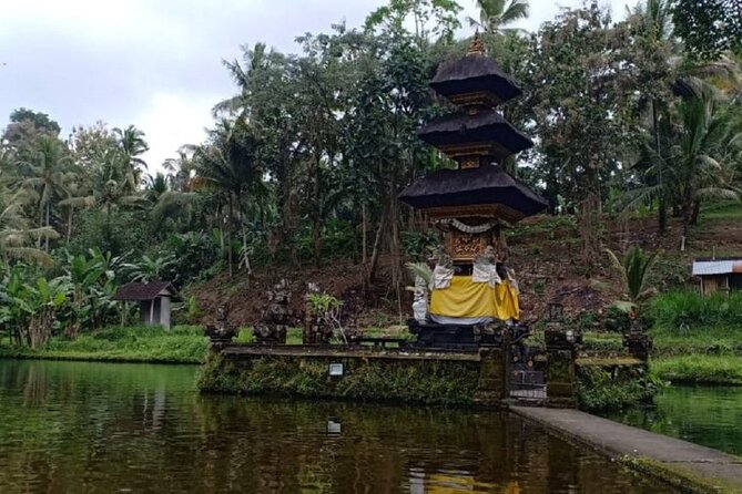 Bali ATV Combined with Mumbul Lake And Sangeh Monkey Forest - Taman Mumbul Lake: spring-water calm under big trees