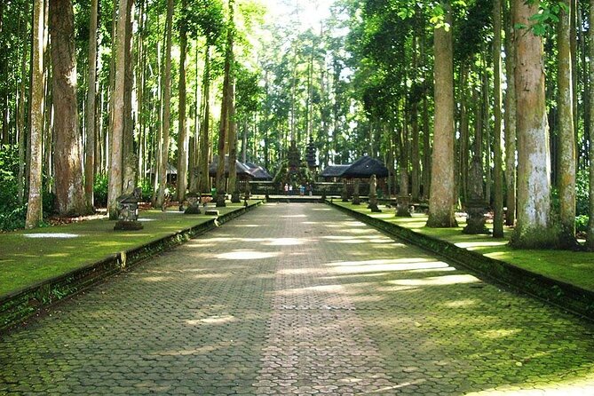 Bali ATV Combined with Mumbul Lake And Sangeh Monkey Forest - Sangeh Monkey Forest: nutmeg trees, monkey energy, and how to stay in control