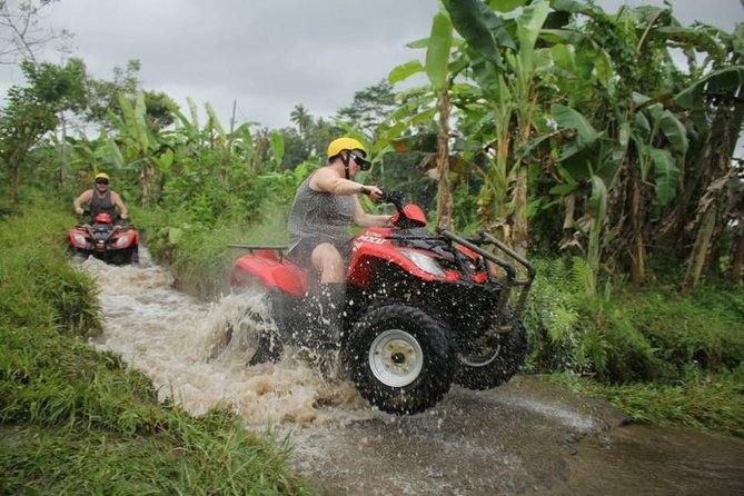 Bali ATV Combined with Mumbul Lake And Sangeh Monkey Forest - Price and value: what $53 covers, and what you should budget for