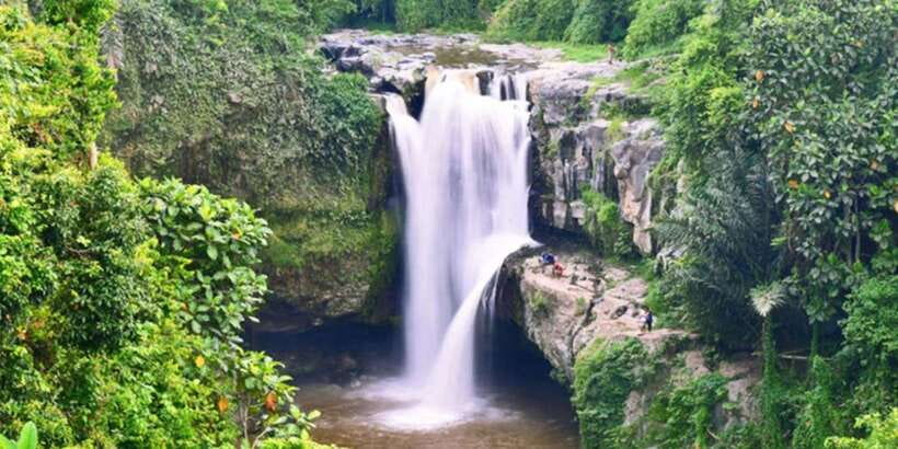 Bali: ATV Gorilla Cave, Ubud Monkey Forest, & Waterfall Tour - Ubud’s Monkey Forest Sanctuary: How to Enjoy It Without Stress