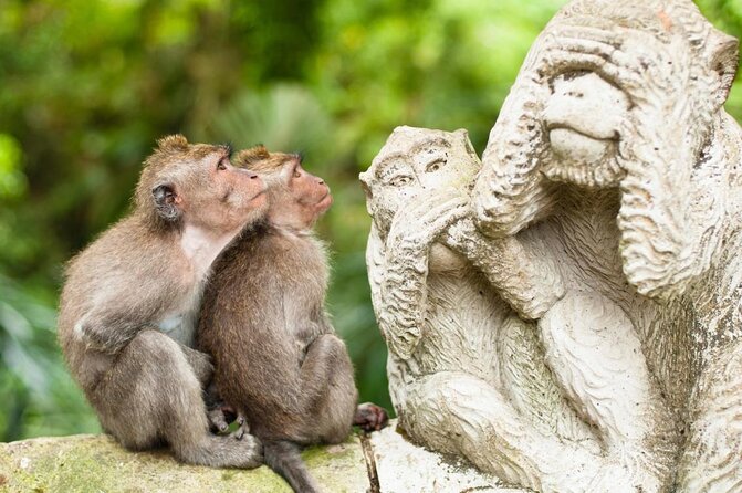 Bali ATV Quad Adventure - Ubud Monkey Forest and Waterfall - How This Ubud Quad + Monkey Forest + Waterfall Day Fits Together