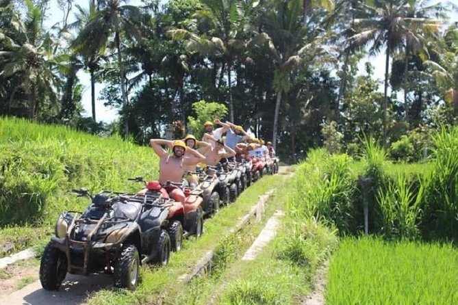 Bali ATV Quad Bike with Monkey Forest and Tegenungan Waterfall - Sangeh Monkey Forest: gray macaques near temples, with guided boundaries