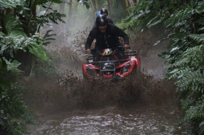 Bali ATV Quadbike Through Gorilla Face Cave - ATV details that affect comfort: automatic 250cc, lockers, and real safety briefings