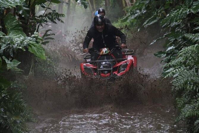 Bali ATV Quadbike Through Gorilla Face Cave - ATV details that affect comfort: automatic 250cc, lockers, and real safety briefings