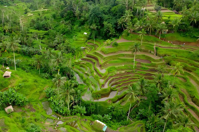 Bali ATV Ride And Ubud Tour Packages : Best Quad Bike Trip - Private, air-conditioned transport with an English-speaking guide