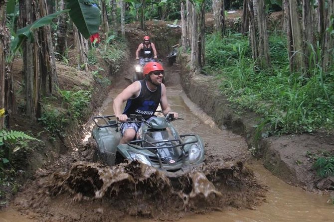 Bali ATV Ride with Jungle Swing and Rice Terrace Tour - A one-day Bali hit: speed, height, and rice terraces