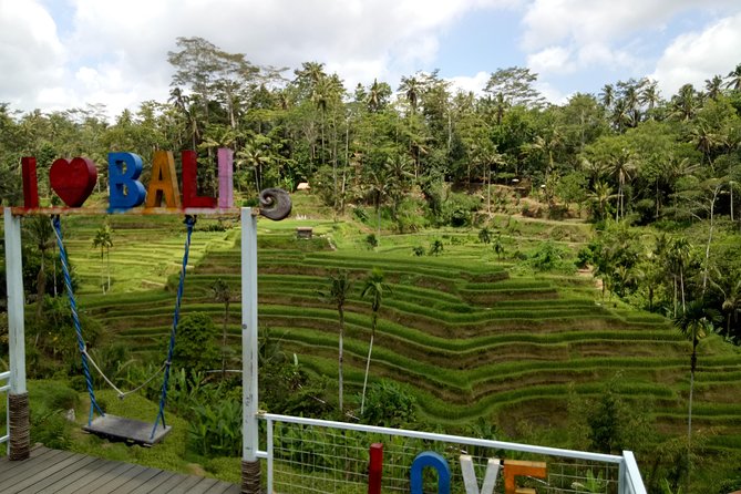 Bali ATV Ride with Jungle Swing and Rice Terrace Tour - What the lunch is really doing for your day
