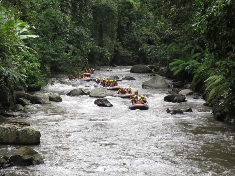Bali: ATV, Water Rafting, and Monkey Forest Tour - Should You Book This Bali ATV, Rafting, and Monkey Forest Combo?