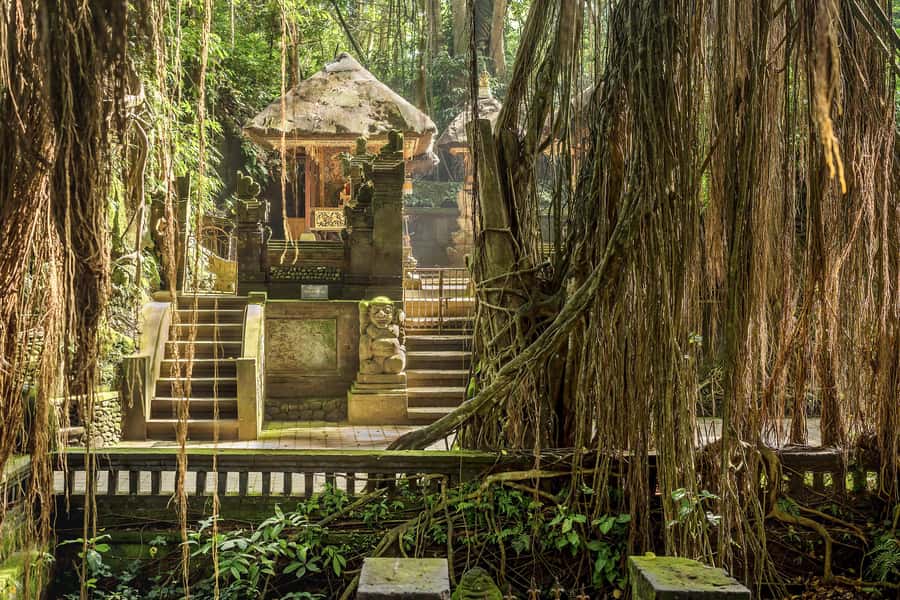 Bali: ATV, Water Rafting, and Monkey Forest Tour - Alasan Adventures ATV Ride: Fun, Mud, and a Reality Check for New Riders