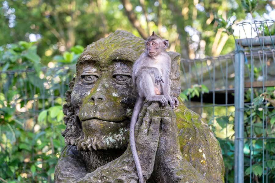 Bali: ATV, Water Rafting, and Monkey Forest Tour - What to Bring: The Simple Gear That Saves Your Day