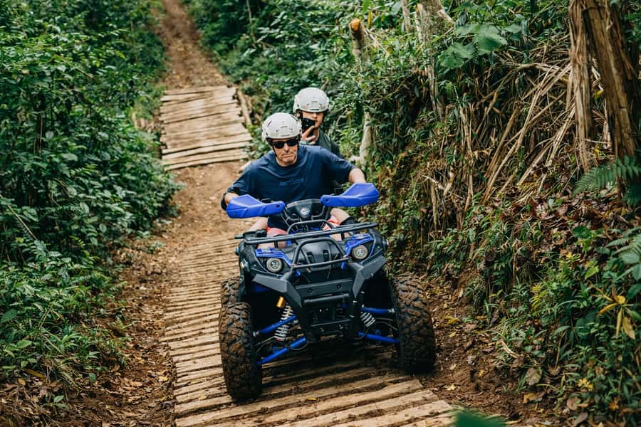 Bali: Dolphin Swimming Tour with ATV Quad Bike & Waterfall - Lovina sunrise dolphins: why the morning matters
