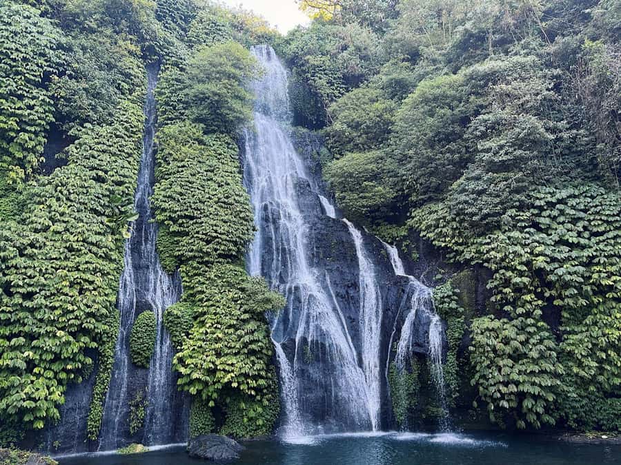 Bali: Dolphin Swimming Tour with ATV Quad Bike & Waterfall - Guides and drivers: why the people matter here