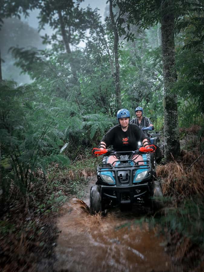 Bali: Dolphin Swimming Tour with ATV Quad Bike & Waterfall - Value at about $81: is this price actually fair?