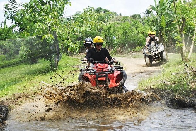 Bali Quad Bike Through Gorilla Cave - Monkey Forest and Waterfall - Price and value at $67 per person