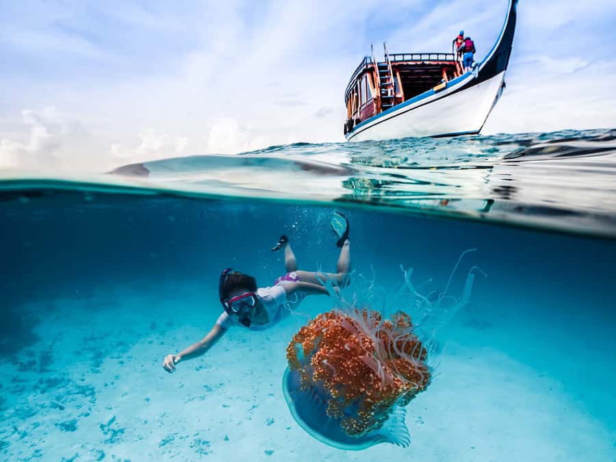 Bali: Ubud ATV and Blue Lagoon Snorkeling Tour with Lunch - From Hotel Pickup to ATV Tracks: how the day actually flows