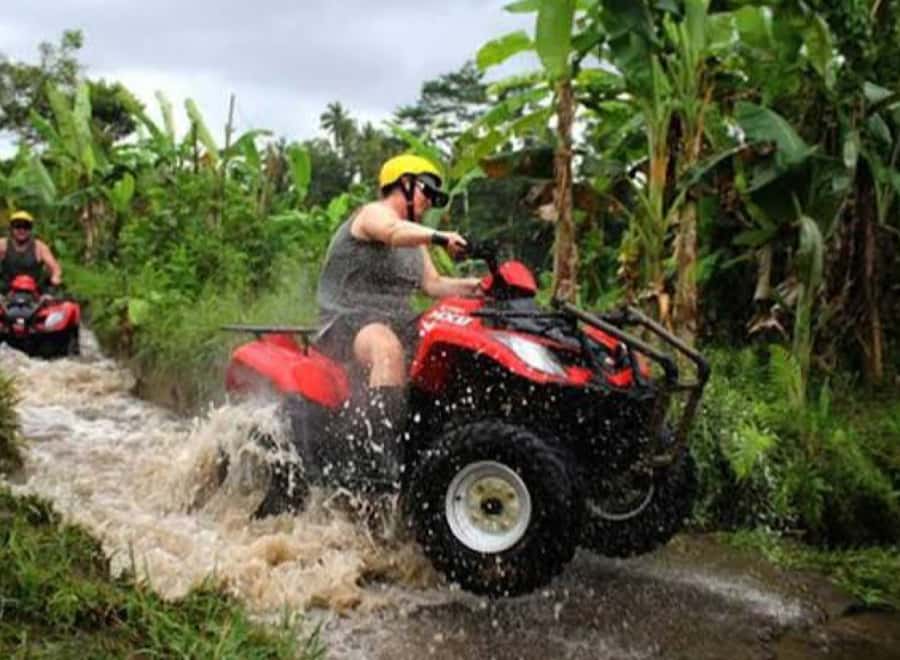 Bali: Ubud ATV and Blue Lagoon Snorkeling Tour with Lunch - The lunch plan: what included means for your day