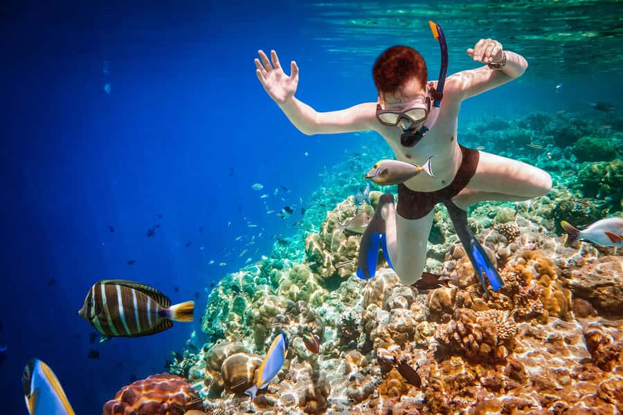 Bali: Ubud ATV and Blue Lagoon Snorkeling Tour with Lunch - Blue Lagoon and Tanjung Jepun snorkeling: coral, fish, and the turtle odds