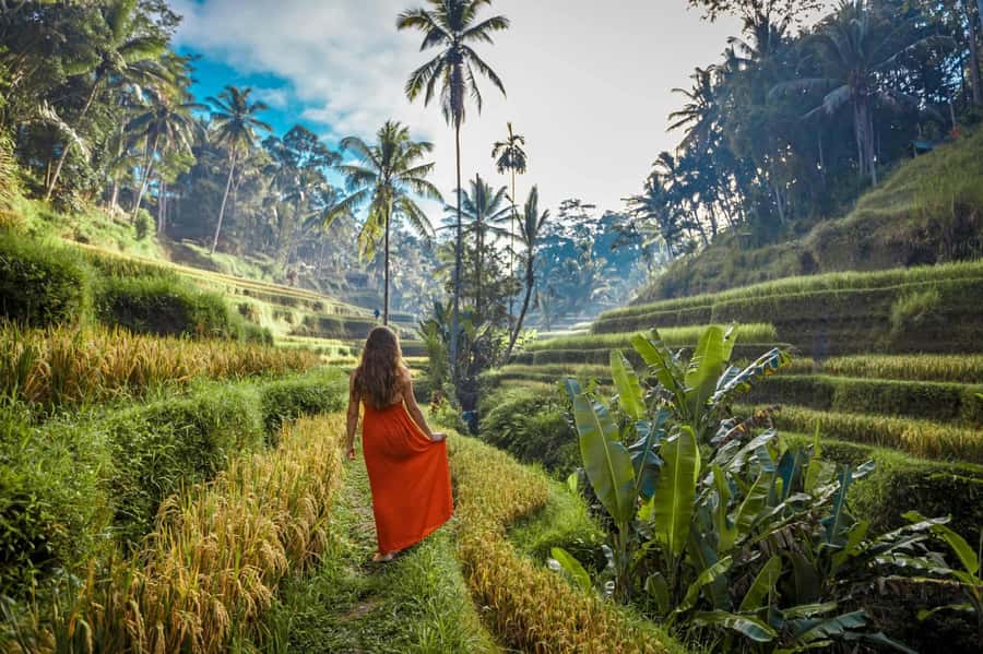 Bali: Ubud ATV Quad Bike, Jungle Swing & Rice Terrace Tour - FAQ