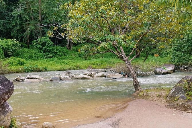 Bamboo Rafting, ATV Riding and Jungle Tour From Phuket - Lunch and Coffee Moments: The Break That Makes the Day Work