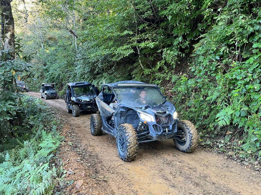 Batumi: Mtirala ATV, Buggy Maverick & Horse Riding Adventure - Key highlights you’ll feel right away