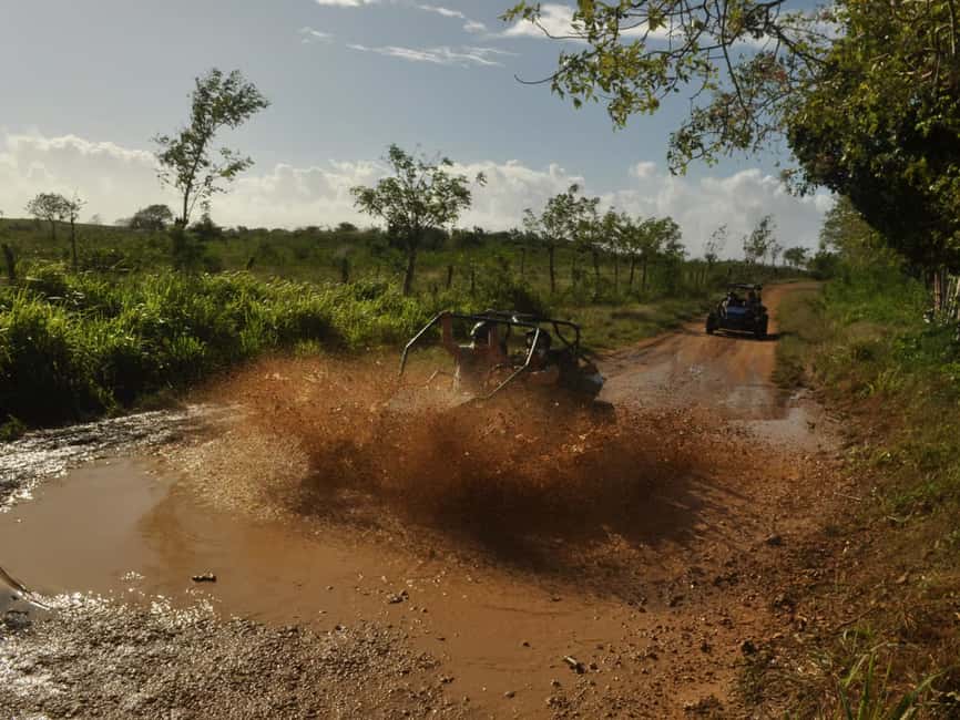 Bayahibe: ATV Buggy Adventure through Jungle & Caves - Chavón River: Why the Jurassic Park Connection Matters