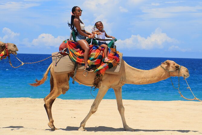 Beach, ATV, and Camel Ride Combo Tour - Cabo San Lucas ATV and Camel Ride: The Mix That Actually Works