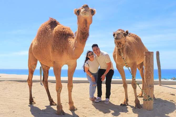 Beach, ATV, and Camel Ride Combo Tour - The 4-Hour Flow: What to Expect From Start to Finish