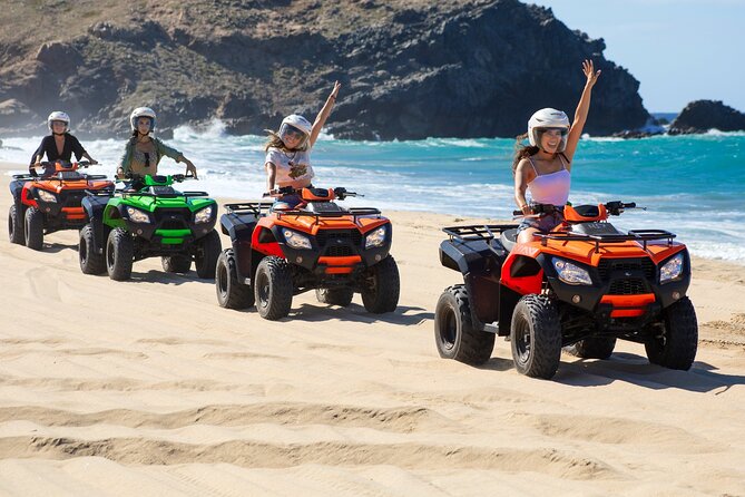 Beach ATV, Free Camel Ride, and Sky Bike Combo - The Migriño portion: camels, sky bikes, and winter whale chances