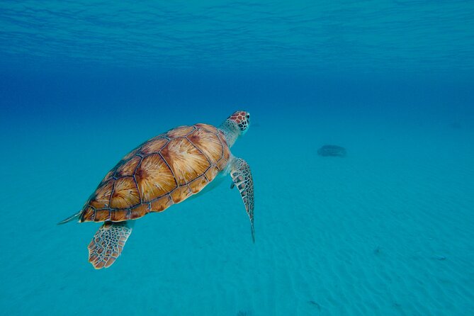 Beach Hopping Curacao; UTV/Buggy All Inclusive Semi Private Tour - Price and value: is $155 fair for what you get?