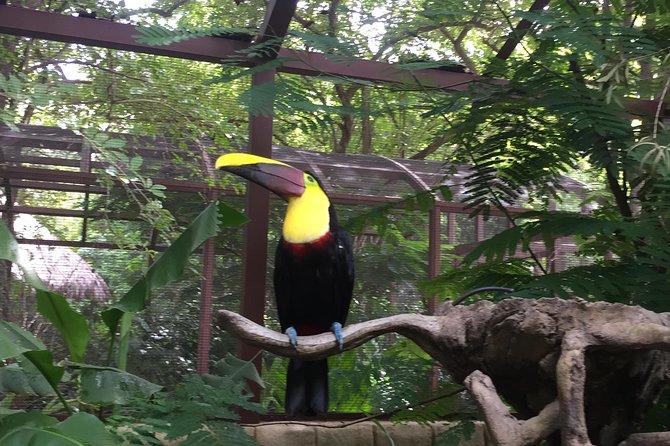 Beach-mountain & Sloth Refuge Buggy Tour - Playa Flamingo to muddy mountain back roads at 8:00 am