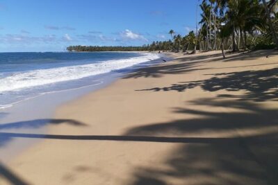 Best ATV Tour In Punta Cana - Getting picked up in Punta Cana: where your day starts